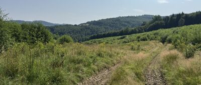 Przełęcz Chrośnicka