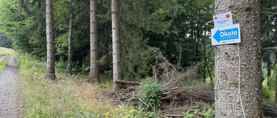 Skrzyżowanie pod Okolem ↔ Skrzyżowanie pod Okolem