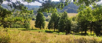 Rozejście szlaków ↔ Miłek
