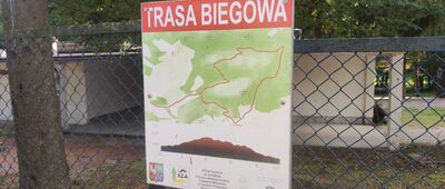 Wojcieszów, ul. Kochanowskiego ↔ Radzimowice