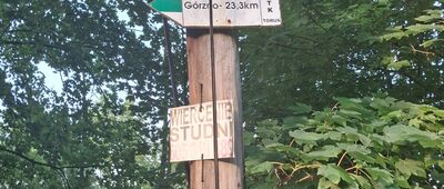 Rozejście szlaków ↔ Grążawy