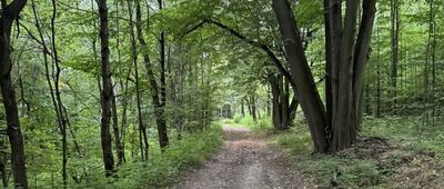 Rząśnicka Przełęcz ↔ Pod Tarczynką