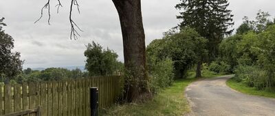Pod Tarczynką ↔ Wleń, Gościradz