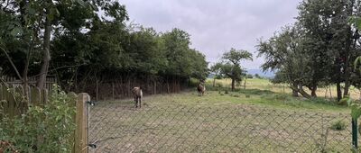 Pod Tarczynką ↔ Wleń, Gościradz