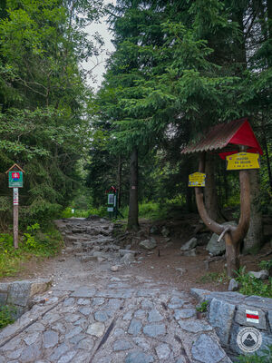 Rozdroże przy Heliosie 1350 m n.p.m.