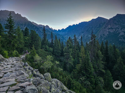 Rumowisko skalne na zboczach Patrii przy czerwonym szlaku z widokiem na poranne Wysokie Tatry