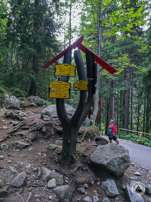 Rozdroże nad Popradzkim Stawem