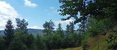 Nad Kroacką Studzienką ↔ Kokot [Kokot, 775 m.n.p.m.]