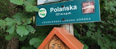 Góra Polańska [Oznaczenie na górze Polańskiej]