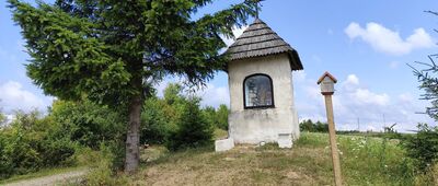 Szklary ↔ Jaśliska, droga wojewódzka [Kapliczka "U Jana"]