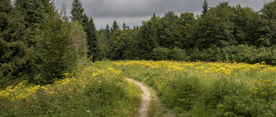 Polana Suhora ↔ Obidowiec