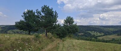 Sufczyna ↔ Huta Brzuska