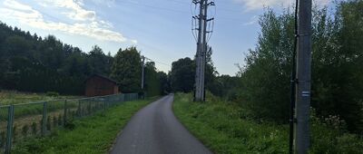 Olszany