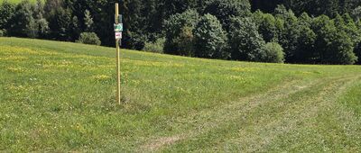Kutný vrch, sedlo ↔ Ostružná, Continental
