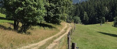 Kutný vrch, sedlo ↔ Ostružná, Continental