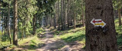 Pod Przełączką