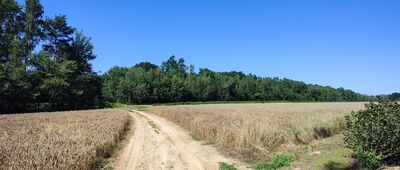 Rozejście szlaków ↔ Rąblów, pomnik