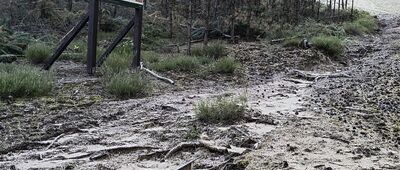 Rozejście szlaków ↔ Piłka [szlak pętla czerwona "śladami granicy wersalskiej"]