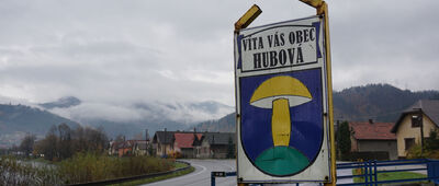 Hubová