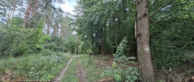 Huta Lubycka, rozejście szlaków