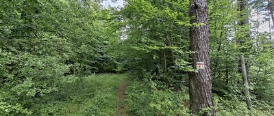 Huta Lubycka, rozejście szlaków ↔ Rozejście szlaków