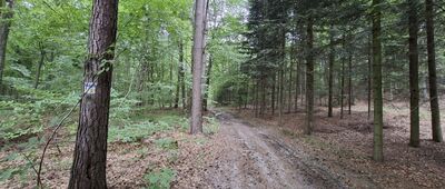 Rozejście szlaków