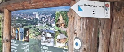 Sanok