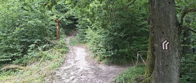 Sanok, Biała Góra ↔ Orle Skały