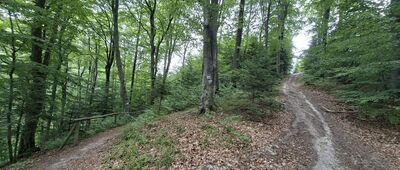 Orle Skały