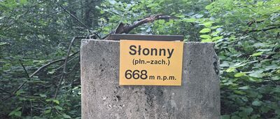 Liszna, rozejście szlaków ↔ Pod Słonnym Wierchem
