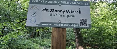 Liszna, rozejście szlaków ↔ Pod Słonnym Wierchem