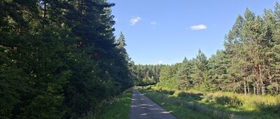 Kiczerka Nad Łomną ↔ Leszczawa Górna