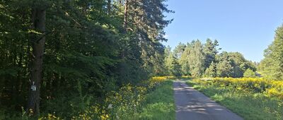 Reberce ↔ Kiczerka Nad Łomną