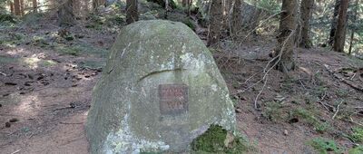 Skrzyżowanie szlaków czerwony / zielony / żółty ↔ Skrzyżowanie szlaków czerwony / żółty [Się znakarz nie popisał...]