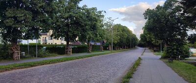 Jastrzębia Góra ↔ Rozewie [ul. Rozewska, Jastrzębia Góra]