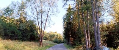 Rycerka Dolna, odejście szlaku niebieskiego