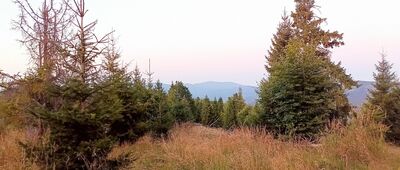 Rycerka Dolna, odejście szlaku niebieskiego ↔ Praszywka Wielka