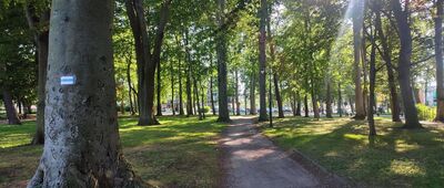 Puck, plaża