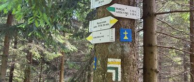 Pod Wiertalówką