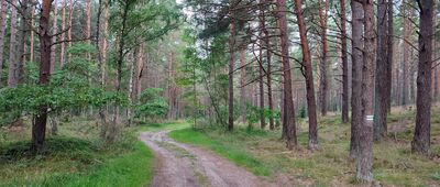 Sławoszyno ↔ Ostrowo