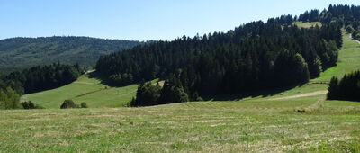 Zwardoń, Beskidek ↔ Schronisko Chata pod Skalanką