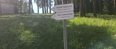 Pole Bitwy pod Grunwaldem