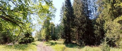 Rycerki