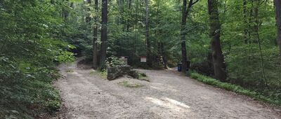 Zagórze Śląskie ↔ Rozejście szlaków