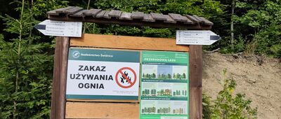 Platforma widokowa