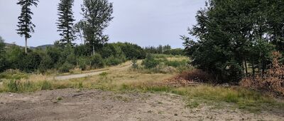 Skrzyżowanie nad jeziorem