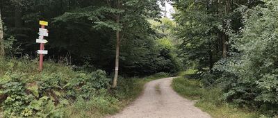 Kanciarski Buk