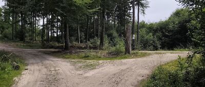 Rozdroże pod Przygrodną