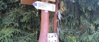 Zejmarská roklina, ústie