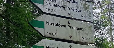 Szlak na Nosal, kasa